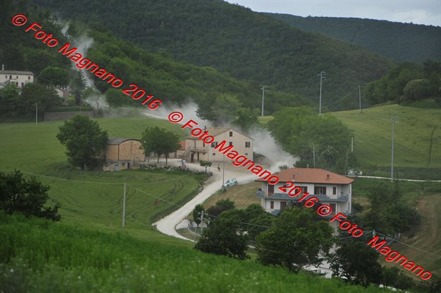 DSC_7103.JPG